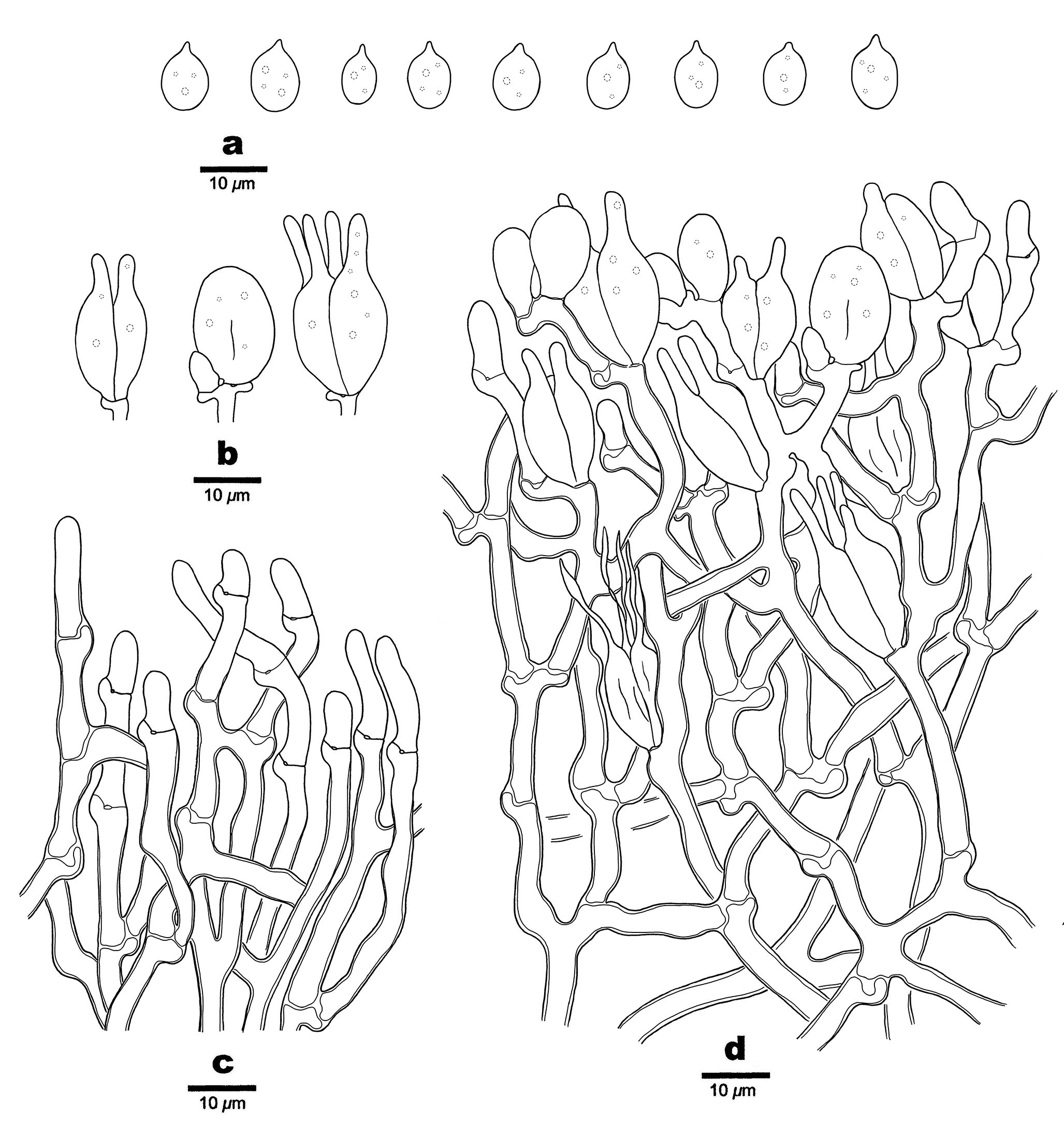 Figure 65